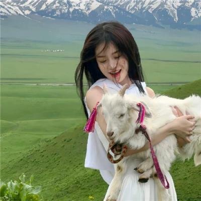 名侦探柯南:远海的侦探